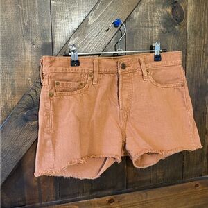 Levi's Women's Brown Jean Shorts